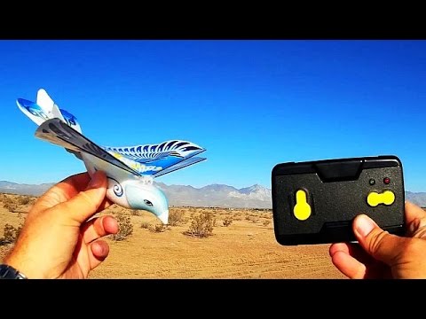 Taibo E Bird Pigeon Flapping Wing Flight Test Review - UC90A4JdsSoFm1Okfu0DHTuQ