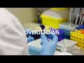 Imatge de la portada del video;La UV destaca un estudi que destaca l’eficàcia dels antioxidants per a tractar la MPOC