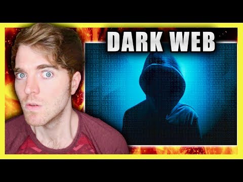 THE DARK WEB - UCV9_KinVpV-snHe3C3n1hvA