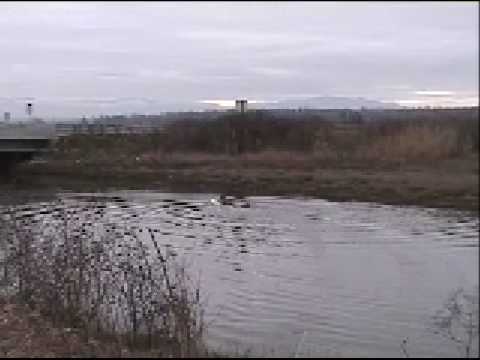 (winter 2002) red river surfing pulling behind the truck - UCTs-d2DgyuJVRICivxe2Ktg