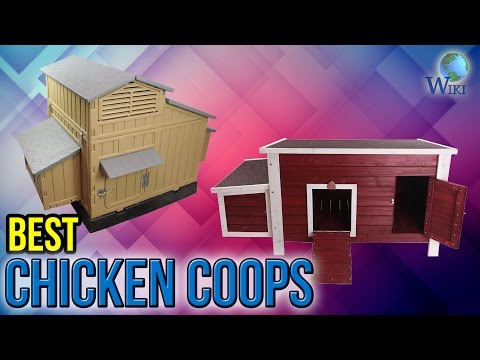 10 Best Chicken Coops 2017 - UCXAHpX2xDhmjqtA-ANgsGmw