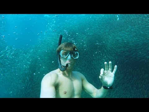 GoPro Awards: Swimming with a School of Silver Fish - UCqhnX4jA0A5paNd1v-zEysw