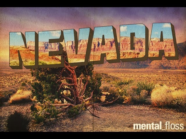 How the Nevada Lyrics Became an NBA Anthem