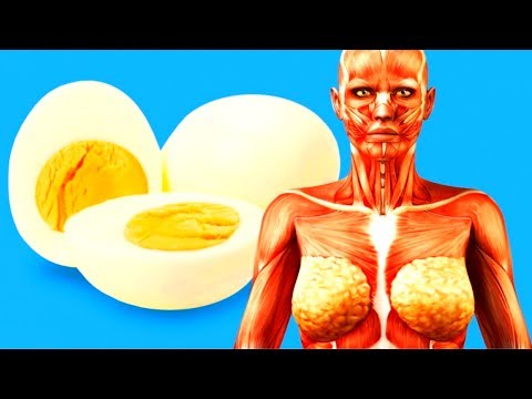 What Happens to Your Body When You Start Eating 2 Eggs a Day - UC4rlAVgAK0SGk-yTfe48Qpw