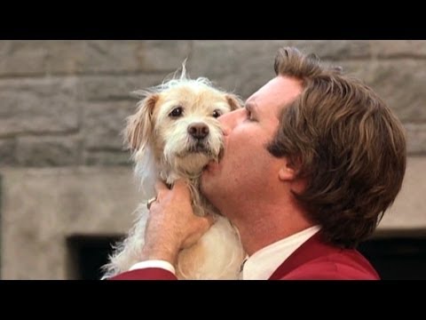 Top 10 Live Action Movie Dogs - UCaWd5_7JhbQBe4dknZhsHJg