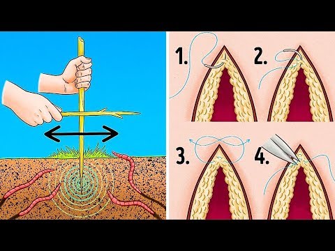 23 SURVIVAL TIPS THAT CAN SAVE YOUR LIFE WHEN ALL ELSE SEEMS LOST - UC295-Dw_tDNtZXFeAPAW6Aw