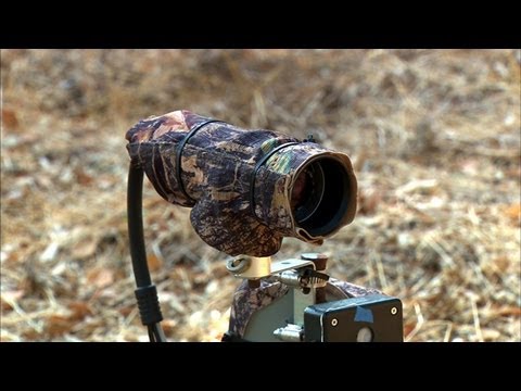 CNET News - High-tech cameras capture wildlife - UCOmcA3f_RrH6b9NmcNa4tdg