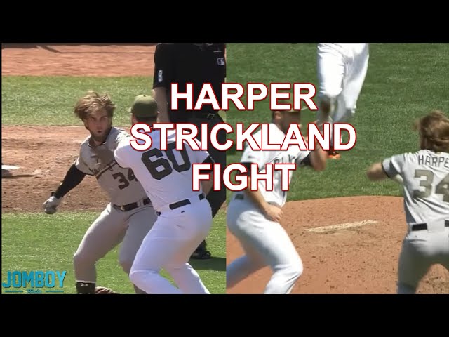 St. Joe’s Baseball Puts Up a Fight