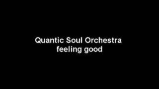 The Quantic Soul Orchestra - Feeling good