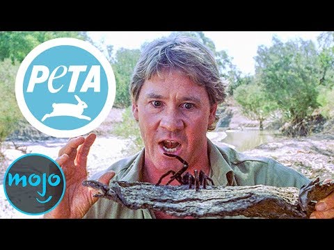 Top 10 Times PETA Went Too Far - UCaWd5_7JhbQBe4dknZhsHJg