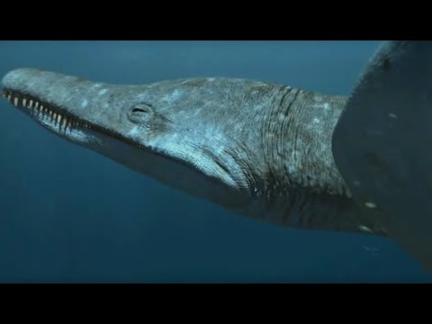 Predator X | Most powerful marine reptile ever | Planet Dinosaur | BBC - UCwmZiChSryoWQCZMIQezgTg