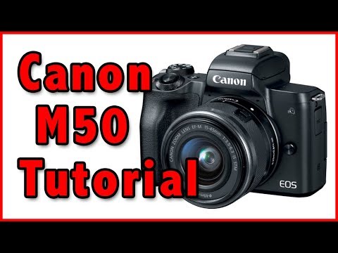 Canon M50 Full Tutorial Training Overview - UCFIdYs7n4i8FKEb0aYhOucA