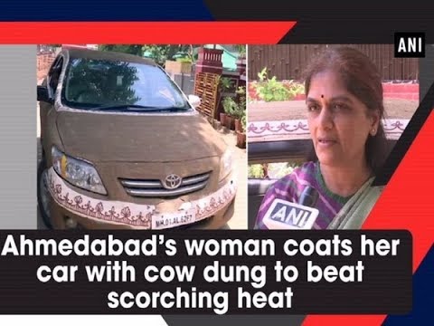 Video - Ahmedabad’s woman coats her car with cow dung to beat scorching heat