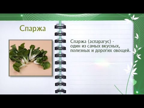 Кулинарная энциклопедия - Спаржа - Часть 2 - UC7XBjhXnmmXFsxmnys9PmDQ