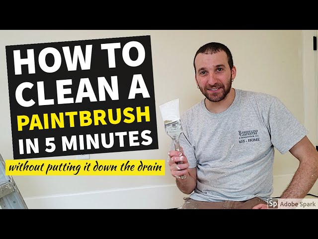 can you wash paint brushes in kitchen sink