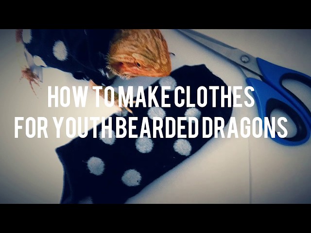 How To Make Bearded Dragon Clothes?