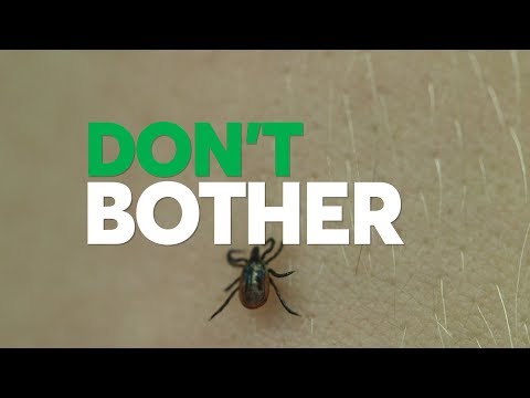 Don't Bother Using These Tick Removal Methods | Consumer Reports - UCOClvgLYa7g75eIaTdwj_vg