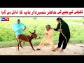 Number daar Baab Ka Qatil Khoti Ka Bacha Funny Video  Most Comedy Funny Video  You Tv Hd 2025