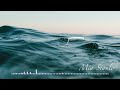 Motion Graphics