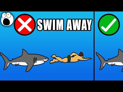 Top 10 Tips You Should Know To Survive Deadly Animal Attacks - UCkQO3QsgTpNTsOw6ujimT5Q