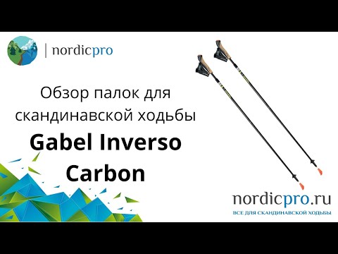 Gabel Inverso Carbon new design