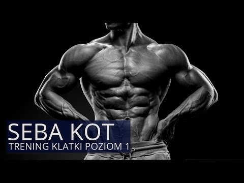 Seba Kot: Trening Klatki Poziom 1 - KFD - UCCwsb6pCsJYFp53h9prxXtg