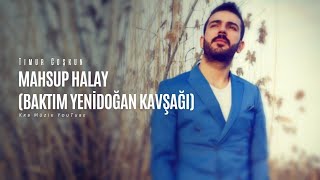 TURKİSH - KURDİSH MASHUP 2020 TİMUR COŞKUN - HALAYLAR / Krb Müzik