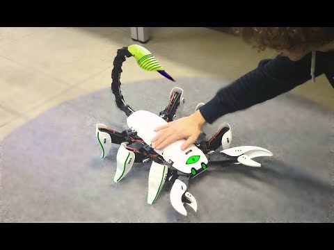 8 Coolest INSECT Robot Toys which Actually Exist - UCmeBJBLXcXamuPWl-0t5S4w
