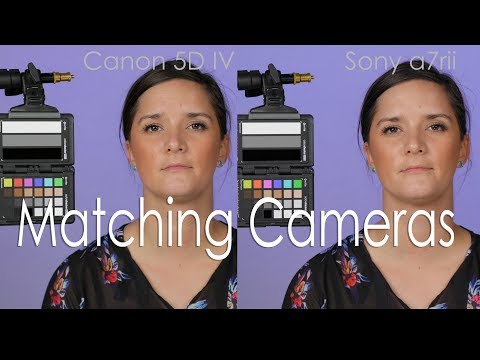 New Course: Color Matching Sony to Canon Cameras for Interviews - UCpPnsOUPkWcukhWUVcTJvnA