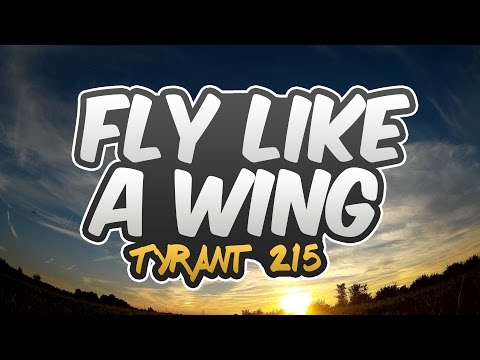 Fly like a Wing - Diatone Tyrant 215 - UCMRpMIts6jyvjGH1MLLdf6A