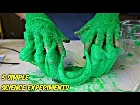 5 Simple Science Experiments You Can Do At Home