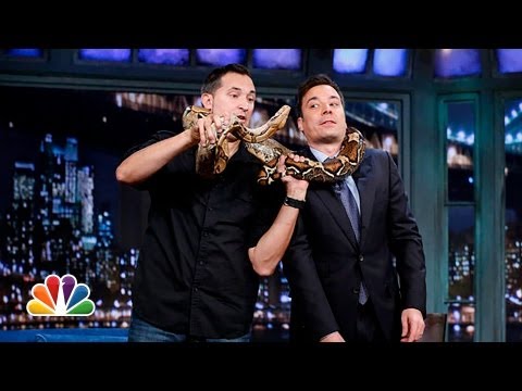 Jeff Musial: Baby Kangaroo, Cougar, Boa Constrictor Part 1 (Late Night with Jimmy Fallon) - UC8-Th83bH_thdKZDJCrn88g