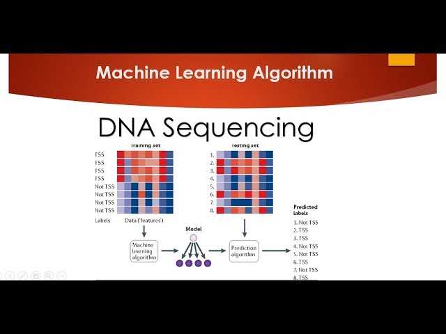 Machine Learning for Sequence Classification