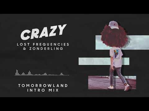 Lost Frequencies - Crazy Tomorrowland Intro Mix