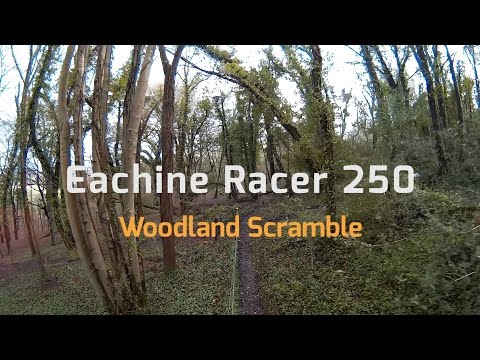 Eachine Racer 250 - Woodland Scramble - UCS1D0FdTMk5ZKeVa52QD_iw