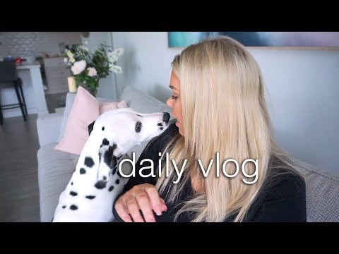 Life Updates, Dalmatian Puppy Life & Shopping vlog! - UChplUdodMCdfZfmTQbRhNWw