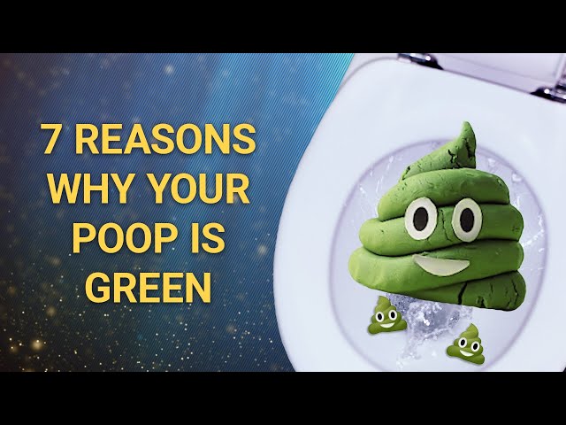 Why You Might Have Green Poop After Traveling - greentravelguides.tv