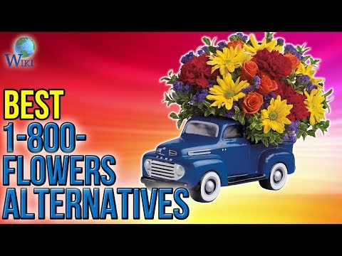 3 Best 1-800-Flowers Alternatives 2017 - UCXAHpX2xDhmjqtA-ANgsGmw