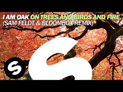 I Am Oak - On Trees and Birds and Fire (Sam Feldt & Bloombox Remix) - UCpDJl2EmP7Oh90Vylx0dZtA