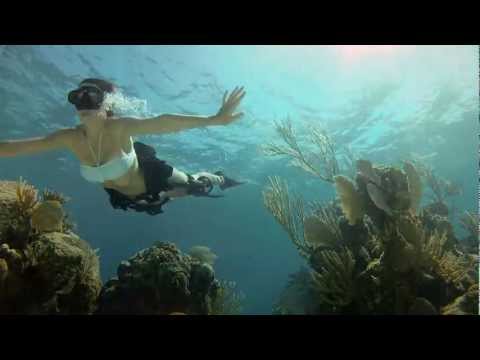 GoPro HD: Shark Riders - Introducing GoPro's New Dive Housing - UCqhnX4jA0A5paNd1v-zEysw