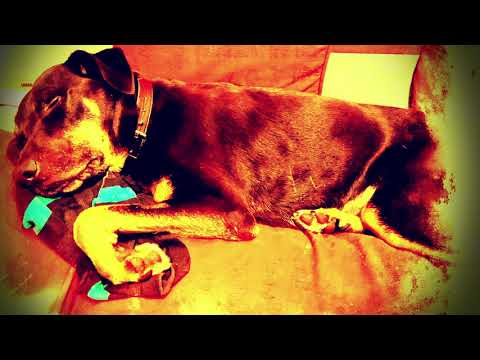 dua lipa be the one netsky rmx 3Dified + enhanced