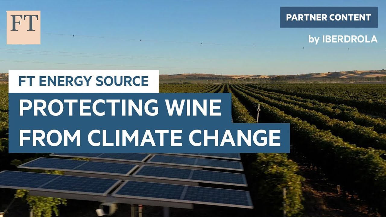 How technology is helping protect the wine sector from climate change | FT Energy Source
