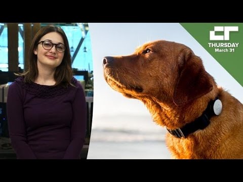 Mars Buys "Fitbit for Dogs" | Crunch Report - UCCjyq_K1Xwfg8Lndy7lKMpA