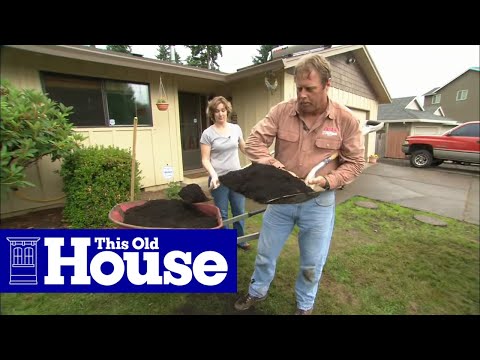 How to Fix a Patchy, Weedy Lawn - This Old House - UCUtWNBWbFL9We-cdXkiAuJA