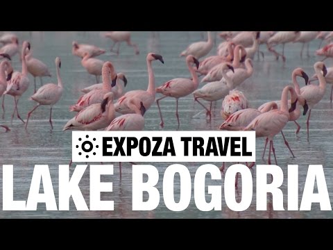 Lake Bogoria Vacation Travel Video Guide - UC3o_gaqvLoPSRVMc2GmkDrg