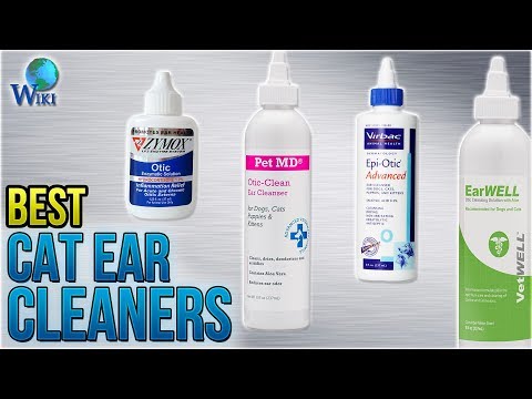 10 Best Cat Ear Cleaners 2018 - UCXAHpX2xDhmjqtA-ANgsGmw