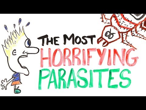 The Most Horrifying Parasites! - UCC552Sd-3nyi_tk2BudLUzA