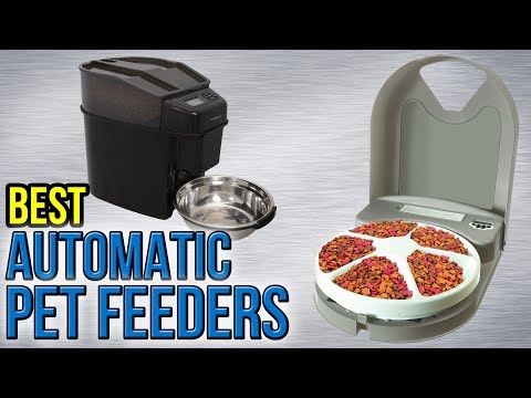 10 Best Automatic Pet Feeders 2017 - UCXAHpX2xDhmjqtA-ANgsGmw