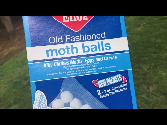 Do Mothballs Keep Lizards Away?