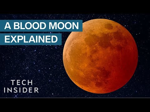 Why The Moon Turns Red During A Total Lunar Eclipse - UCVLZmDKeT-mV4H3ToYXIFYg